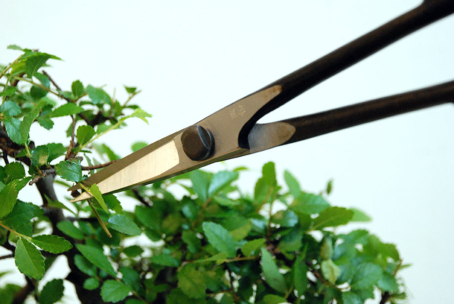 OKATSUNE Bonsai-Schere 206 | leichte Präzisions-Gartenschere mit langer Reichweite | 220 mm gesamt, 55 mm Spitze | 60–61 HRC Izumo Yasugi-Stahl, hohlgeschliffen | für Triebe & Blätter