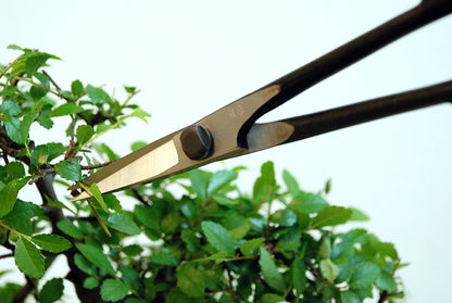 OKATSUNE Bonsai-Schere 206 | leichte Präzisions-Gartenschere mit langer Reichweite | 220 mm gesamt, 55 mm Spitze | 60–61 HRC Izumo Yasugi-Stahl, hohlgeschliffen | für Triebe & Blätter