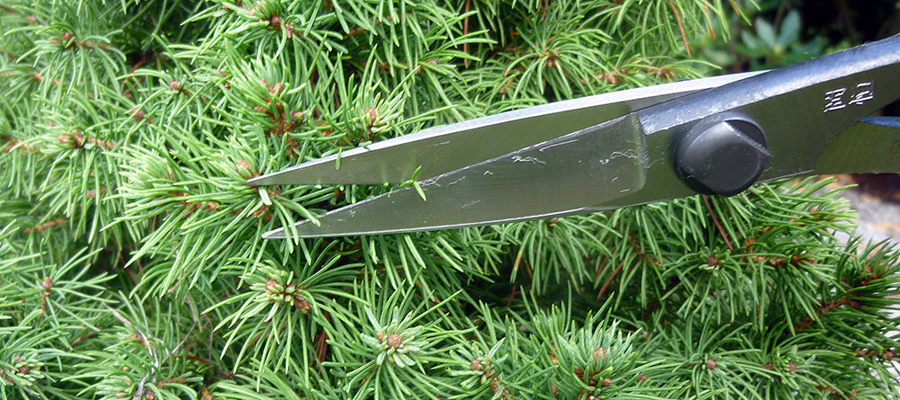 OKATSUNE Bonsai-Schere 206 | leichte Präzisions-Gartenschere mit langer Reichweite | 220 mm gesamt, 55 mm Spitze | 60–61 HRC Izumo Yasugi-Stahl, hohlgeschliffen | für Triebe & Blätter