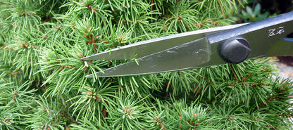 OKATSUNE Bonsai-Schere 206 | leichte Präzisions-Gartenschere mit langer Reichweite | 220 mm gesamt, 55 mm Spitze | 60–61 HRC Izumo Yasugi-Stahl, hohlgeschliffen | für Triebe & Blätter