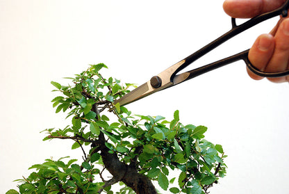 OKATSUNE Bonsai-Schere 206 | leichte Präzisions-Gartenschere mit langer Reichweite | 220 mm gesamt, 55 mm Spitze | 60–61 HRC Izumo Yasugi-Stahl, hohlgeschliffen | für Triebe & Blätter