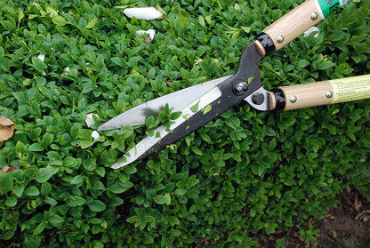 OKATSUNE 216 Heckenschere kurz | Kurzes, ultraleichtes Modell mit 30 cm Holzgriffen und 145 mm rasiermesserscharfer Klinge, ideal für Formschnitt von Buchsbaum und japanischem Garten