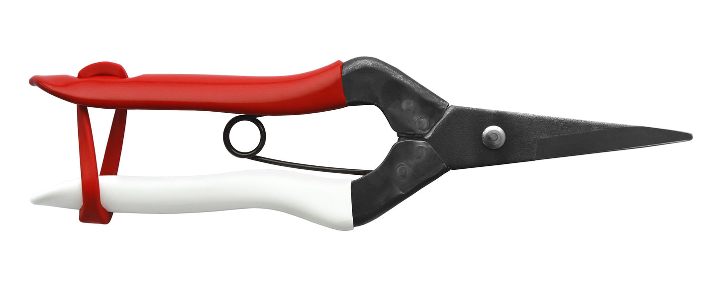 Okatsune 304 Blumenschere – Rasiermesserscharfe Mekiri Basami aus japanischem IZUMO YASUGI-Stahl – ultraleicht, ergonomisch, präziser Schnitt – ideal für zarte Pflanzentriebe