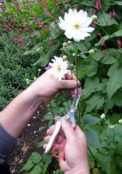 Okatsune 304 Blumenschere – Rasiermesserscharfe Mekiri Basami aus japanischem IZUMO YASUGI-Stahl – ultraleicht, ergonomisch, präziser Schnitt – ideal für zarte Pflanzentriebe