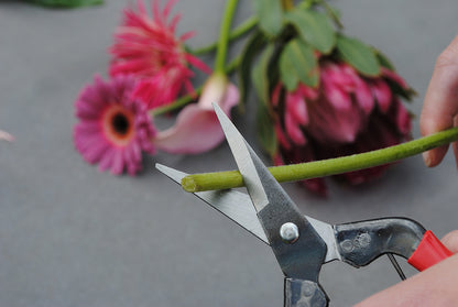 Okatsune 304 Blumenschere – Rasiermesserscharfe Mekiri Basami aus japanischem IZUMO YASUGI-Stahl – ultraleicht, ergonomisch, präziser Schnitt – ideal für zarte Pflanzentriebe