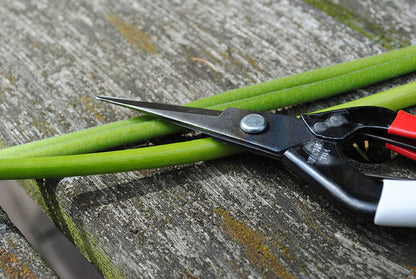 Okatsune 304 Blumenschere – Rasiermesserscharfe Mekiri Basami aus japanischem IZUMO YASUGI-Stahl – ultraleicht, ergonomisch, präziser Schnitt – ideal für zarte Pflanzentriebe