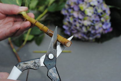 Okatsune 307 Stecklingsschere – kurze 35-mm-Klinge für härtere Stämme, extrem scharf & ultraleicht, ideal für Ausdünnen und Erntearbeiten – die unbestrittene Nr. 1 in Japan für Präzisionsschnitte