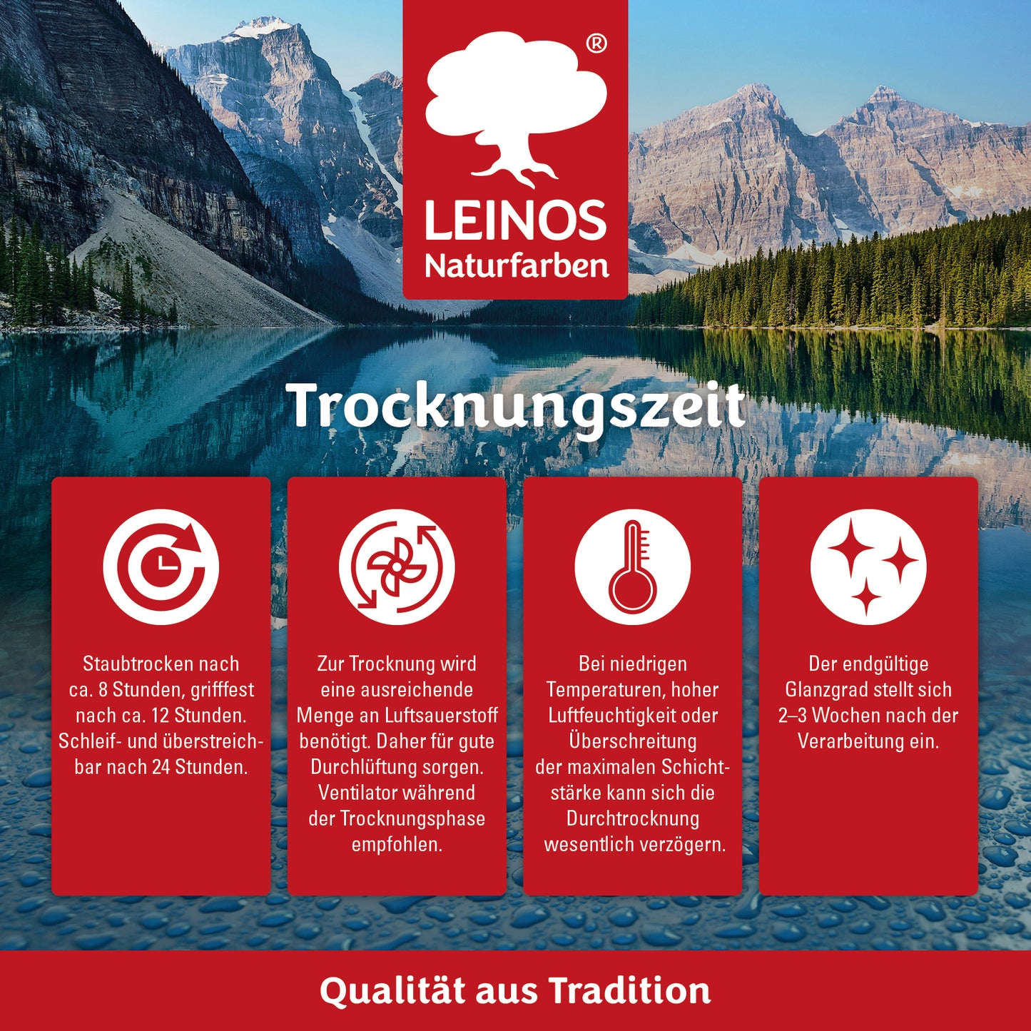 LEINOS Decklack glänzend 840 Schwarz 100 ml wasserabweisender Holzlack für Innen und Außen hoch deckend wetterbeständig für Holz Metall und Steinzeug mit brillanter Farbwirkung und Holzschutz