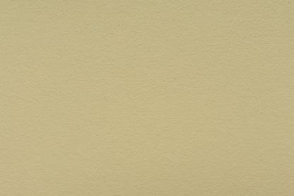 LEINOS Set Wandfarbe - Naturharz-Dispersionsfarbe 660 + Pigment-Konzentrat 668