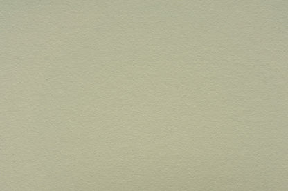 LEINOS Set Wandfarbe - Naturharz-Dispersionsfarbe 660 + Pigment-Konzentrat 668