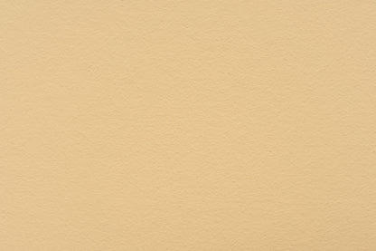 LEINOS Set Wandfarbe - Naturharz-Dispersionsfarbe 660 + Pigment-Konzentrat 668