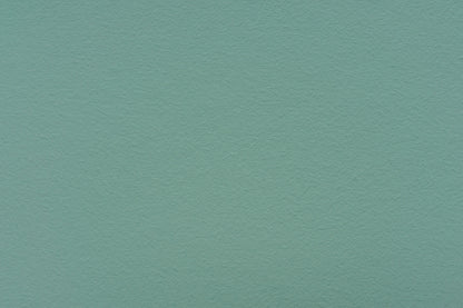 LEINOS Set Wandfarbe - Naturharz-Dispersionsfarbe 660 + Pigment-Konzentrat 668