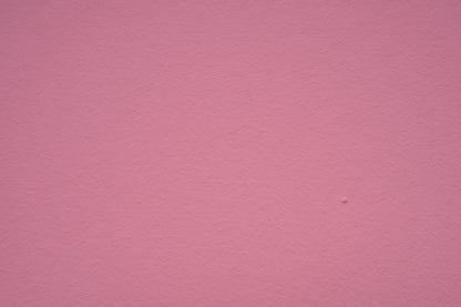 LEINOS Set Wandfarbe - Naturharz-Dispersionsfarbe 660 + Pigment-Konzentrat 668