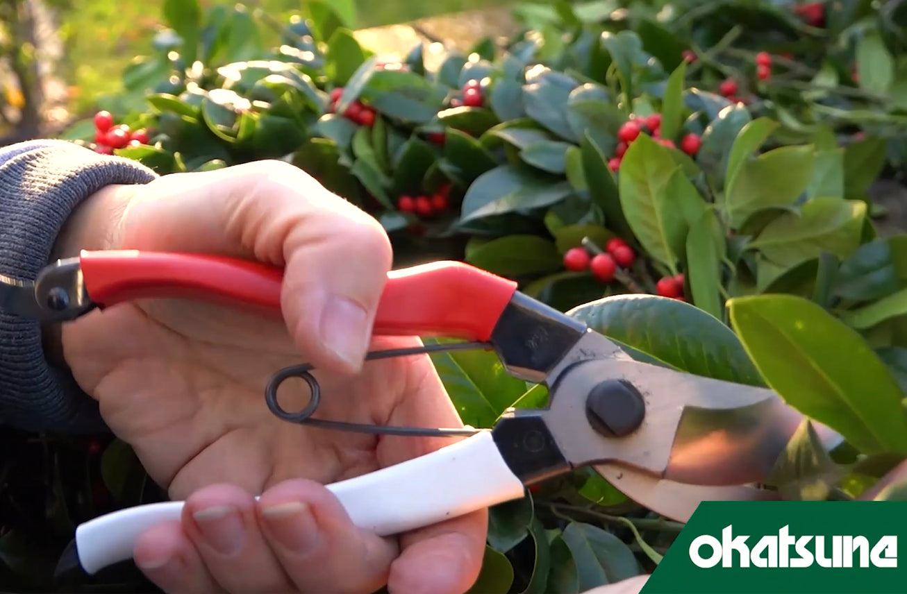 OKATSUNE 103 – Japanische Gartenschere 200 mm | ultra-scharf, robust | Schnitt bis 25 mm für Rosen, Reben, Sträucher & Obstbäume | 55 mm Klinge | 227 g | präziser Sauberschnitt für Garten, Obstbau