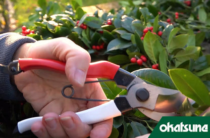 OKATSUNE 103 – Japanische Gartenschere 200 mm | ultra-scharf, robust | Schnitt bis 25 mm für Rosen, Reben, Sträucher & Obstbäume | 55 mm Klinge | 227 g | präziser Sauberschnitt für Garten, Obstbau