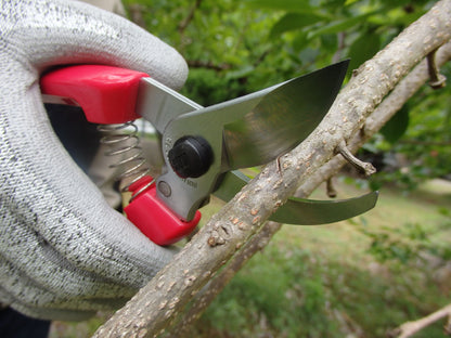 ARS Garten/Rosenschere 130DX speziell für Frauen  Geeignet für den Schnitt von Zweigen, Ästen und anderen Pflanzen, ideal für den Einsatz in jedem Garten