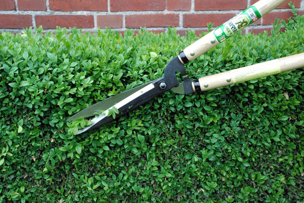 Okatsune 230 Premium-Heckenschere 780 mm – 200 mm Yasugi-Stahlklinge,500 mm Weißeiche-Griffe, integrierter Anschlag,ultraleicht 1050 g, präziser Schnitt für harte Äste und feine Formschnitte,langlebig