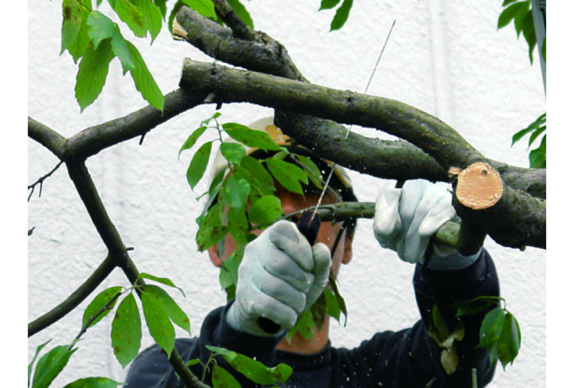 Silky Japansäge Gomtaro Pro-Sentei 300mm, 8 und 14 ZpZ (grob/fein) | Fein und Grobverzahnung | Sonderedition | Ideal für Gärtner, Obstzüchter und Privatpersonen