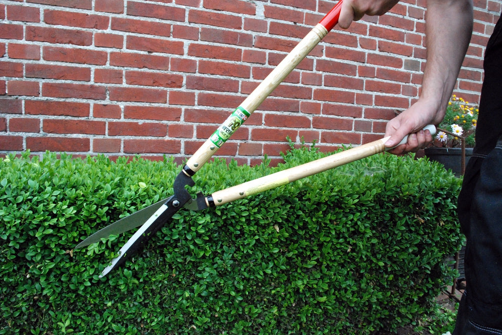Okatsune 230 Premium-Heckenschere 780 mm – 200 mm Yasugi-Stahlklinge,500 mm Weißeiche-Griffe, integrierter Anschlag,ultraleicht 1050 g, präziser Schnitt für harte Äste und feine Formschnitte,langlebig